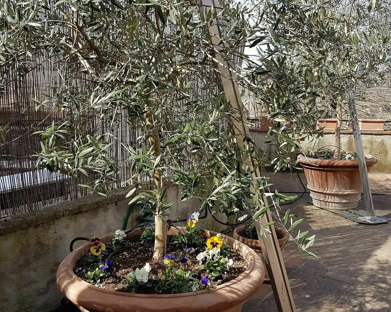 Casa Bardi Apartment San Gimignano