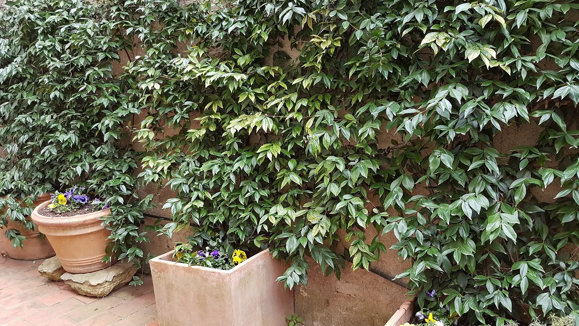 Apartamento Casa Bardi San Gimignano
