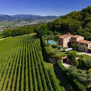 Vitis , Negrar Italy